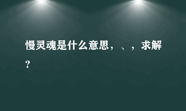 慢灵魂是什么意思，、，求解？