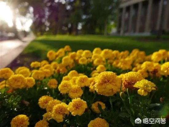 如何评价松下的LX100?