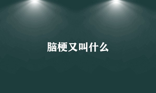脑梗又叫什么