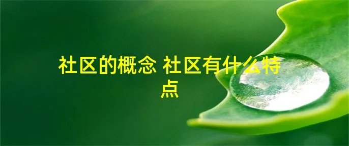 社区的概念 社区有什么特点
