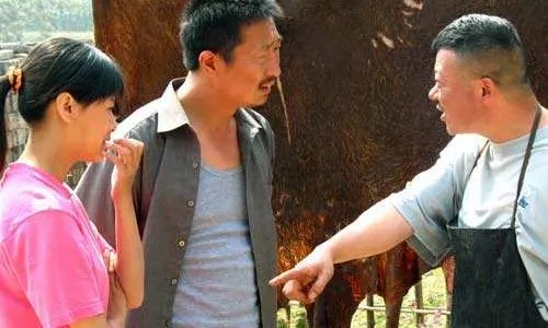 最经典的农村电视剧有哪些?