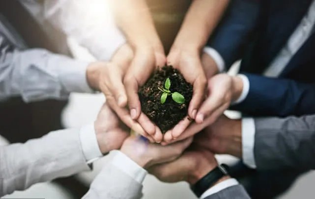 乐图美居：低价劣质墙布你敢买？危害太大了！！