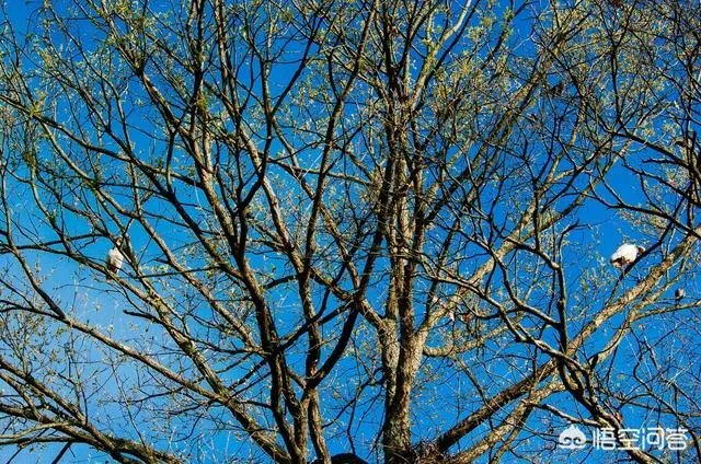 为什么会有风光摄影师说“我们都是看天气吃饭的”呢？