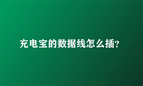 充电宝的数据线怎么插?
