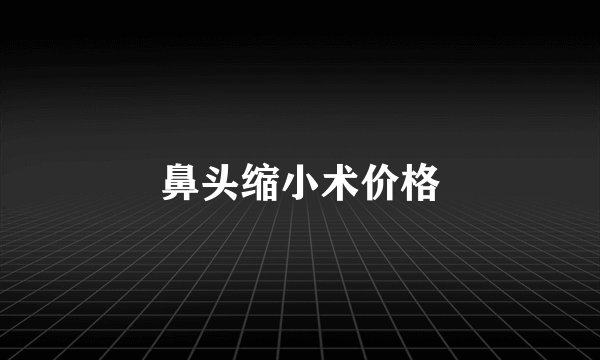 鼻头缩小术价格