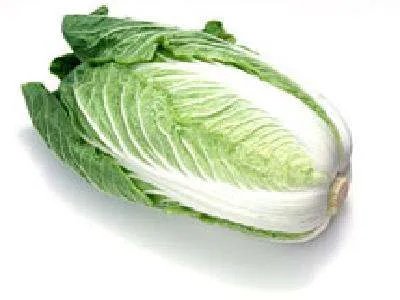 千王之王重出江湖猜什么生肖