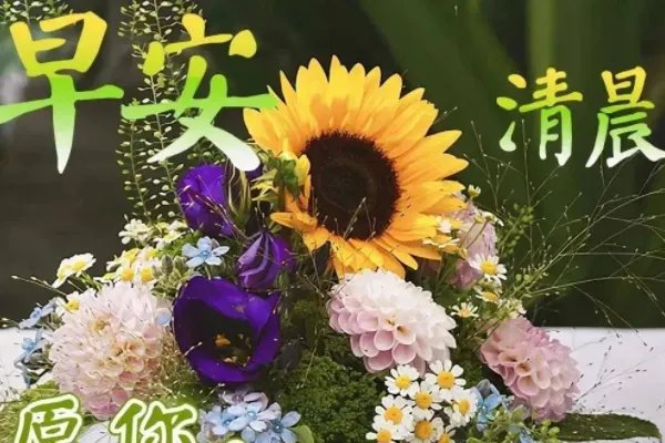 一句早上好暖心的话简短