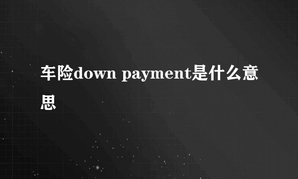 车险down payment是什么意思