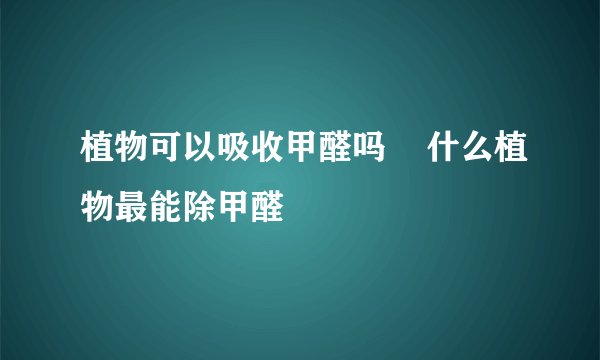 植物可以吸收甲醛吗    什么植物最能除甲醛