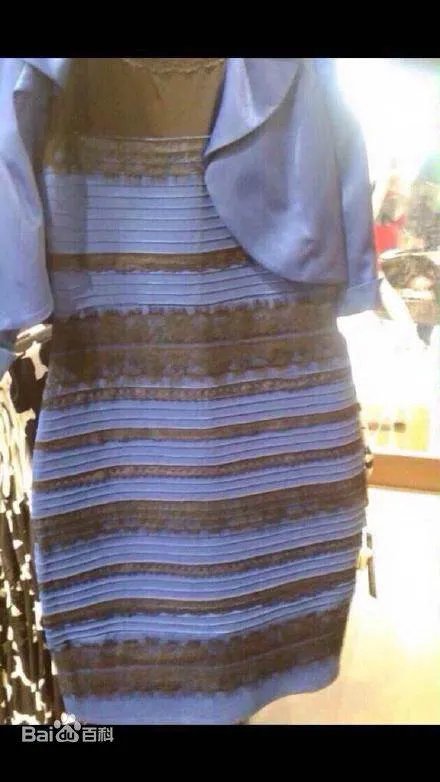 白金党蓝黑党什么意思