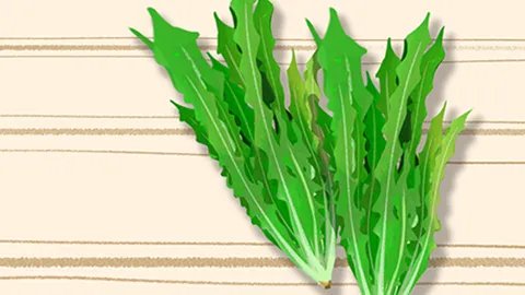 核黄素缺乏病因有哪些