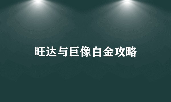 旺达与巨像白金攻略