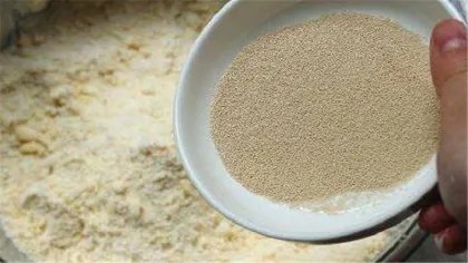 2斤面粉放多少酵母