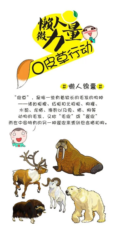 【懒人日记】：—懒人微力量—之“0”皮草行动