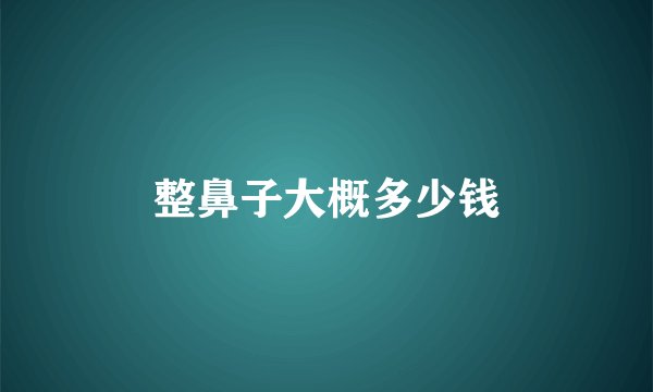 整鼻子大概多少钱
