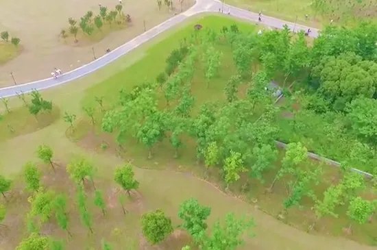 杭州有什么好玩的地方