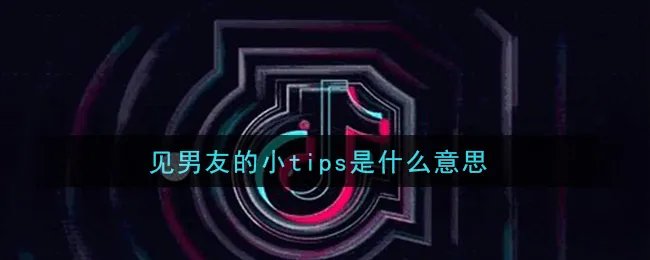 见男友的小tips是什么意思