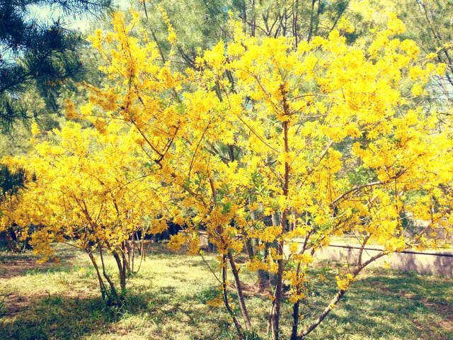 整体变化不大 自拍神器美图M4全面评测