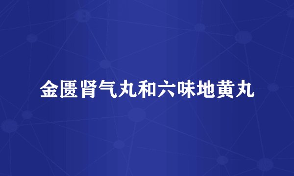 金匮肾气丸和六味地黄丸