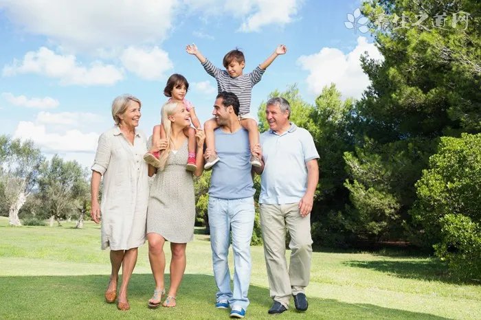 面包机做面包的配方