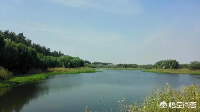 潍坊湿地公园在哪里？有多大？