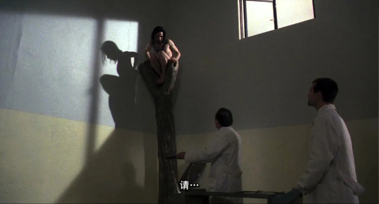 恐怖吧的贴吧现状