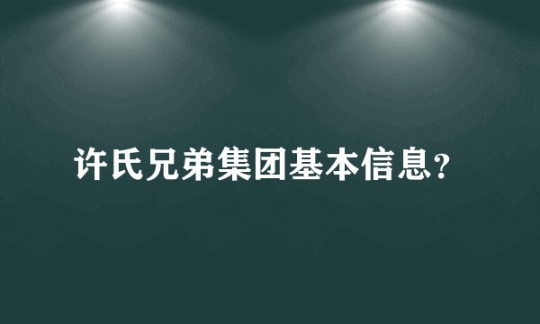许氏兄弟集团基本信息？