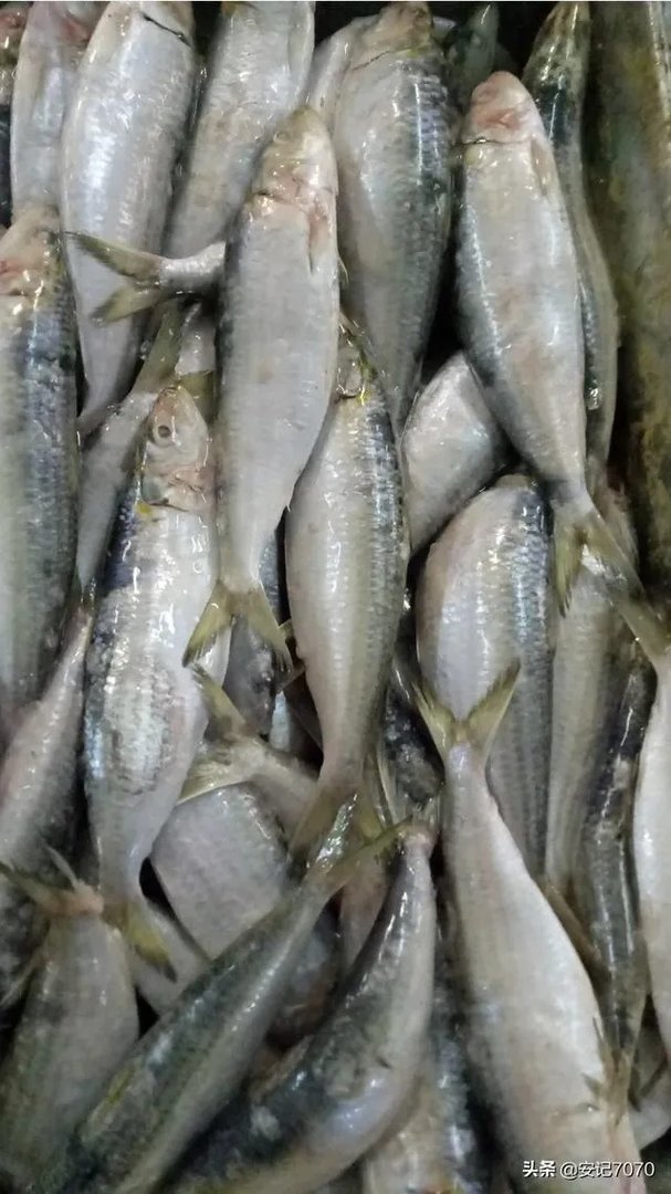 黄脚腊,黄脚立一样吗