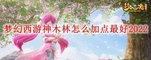 梦幻西游神木林怎么加点最好2022