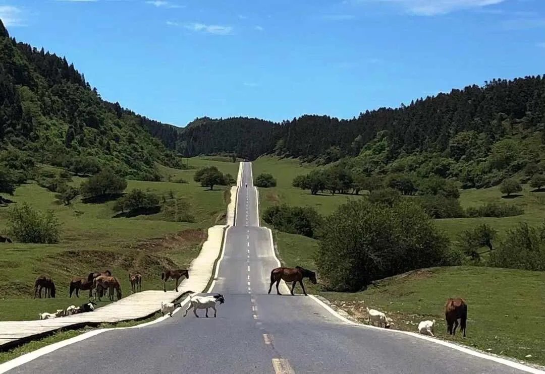 五一放假几天2022年高速免费吗