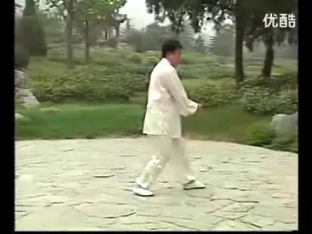 形意十二形的概述