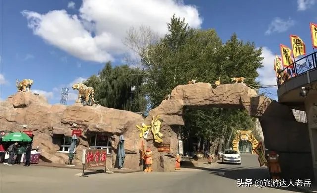 哈尔滨最好玩的景区在哪里？为什么？