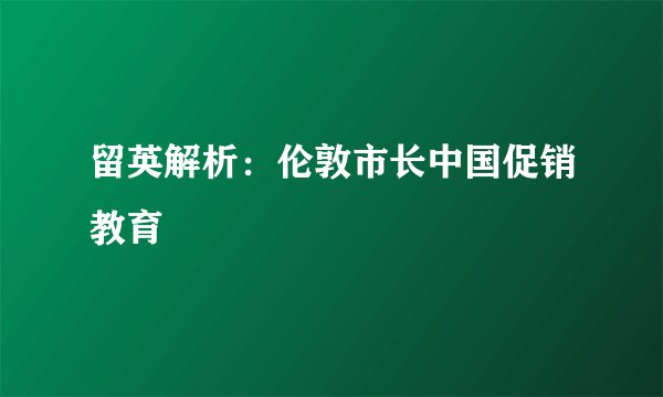 留英解析：伦敦市长中国促销教育