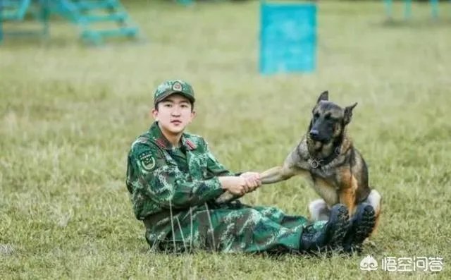 为什么杨幂杨颖张大大关系这么好？