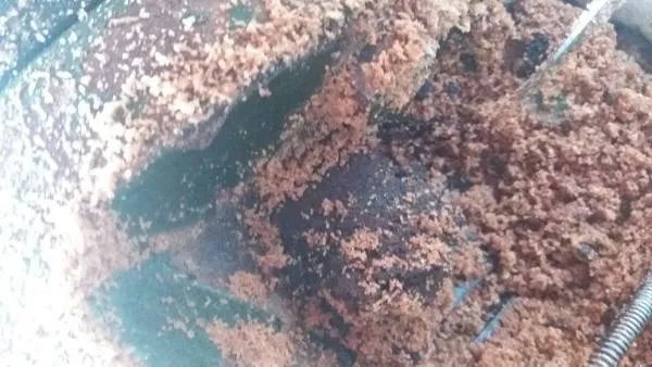 油博士榨油机分几种型号，价格分别是多少，哪里有买。