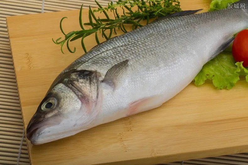 海鲈多少钱一斤 和淡水鲈鱼有什么区别