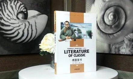 傅雷家书的每章内容概括怎么写？