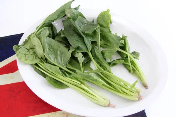 补血吃什么好 这样吃对身体好