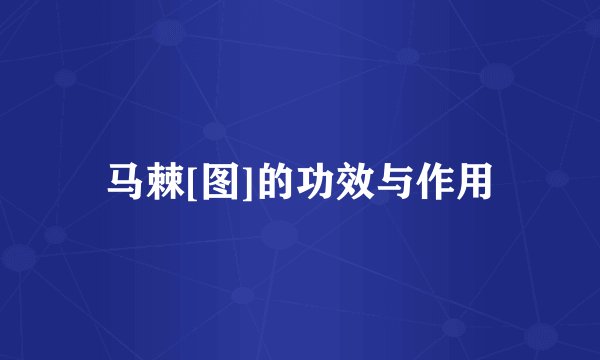 马棘[图]的功效与作用