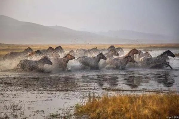 赤峰都有哪些景区值得去玩？