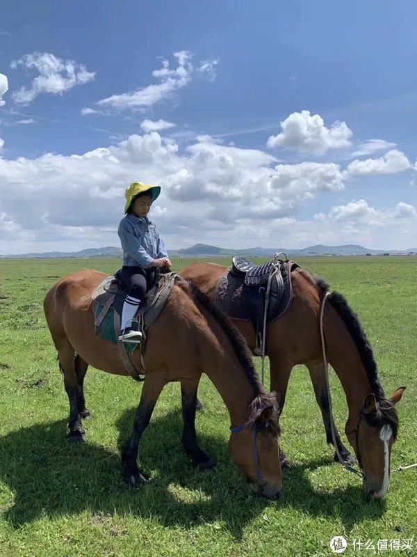 最全坝上草原旅游攻略,坝上草原住宿农家院一次全搞定。