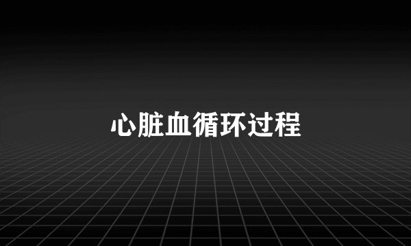 心脏血循环过程