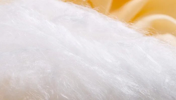 蚕丝被的优缺点有哪些 蚕丝被是什么