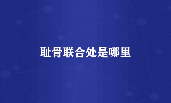 耻骨联合处是哪里