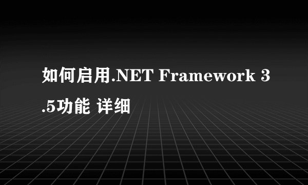 如何启用.NET Framework 3.5功能 详细