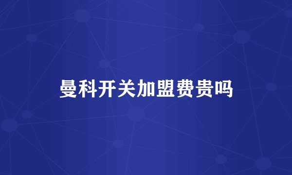 曼科开关加盟费贵吗