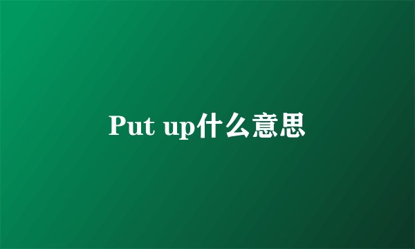 Put up什么意思
