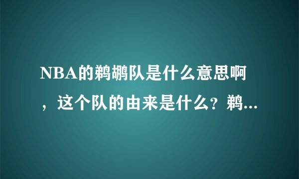 NBA的鹈鹕队是什么意思啊，这个队的由来是什么？鹈鹕是种动物吗？