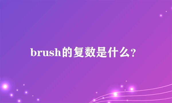 brush的复数是什么？