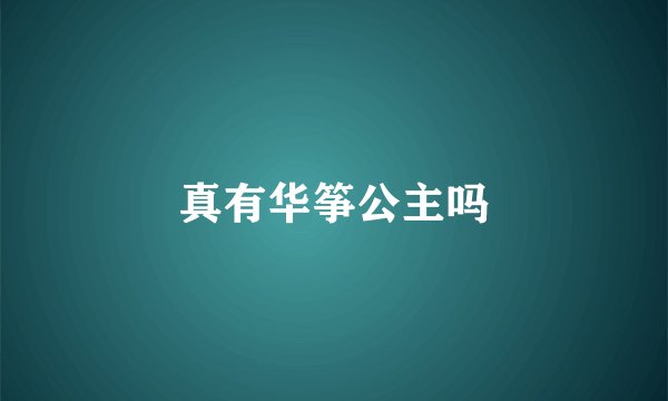 真有华筝公主吗